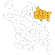 Constructeurs maisons Grand-Est