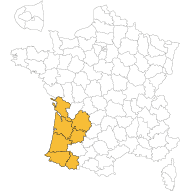 demeures-de-la-cote-d-argent-agence