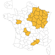 maisons-babeau-seguin-agence