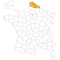 maisons-d-en-france-nord-pas-de-calais-agence