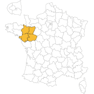 maisons-d-en-france-ouest-agence